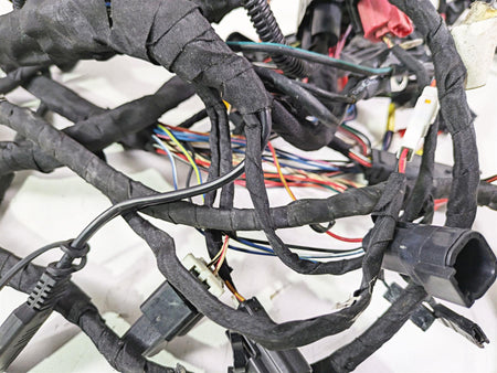 2021 Harley Softail FXST Standard Main Wiring Harness - No Abs - No Cut 69201493 {{ shop.shopifyCountryName }} - Mototech271