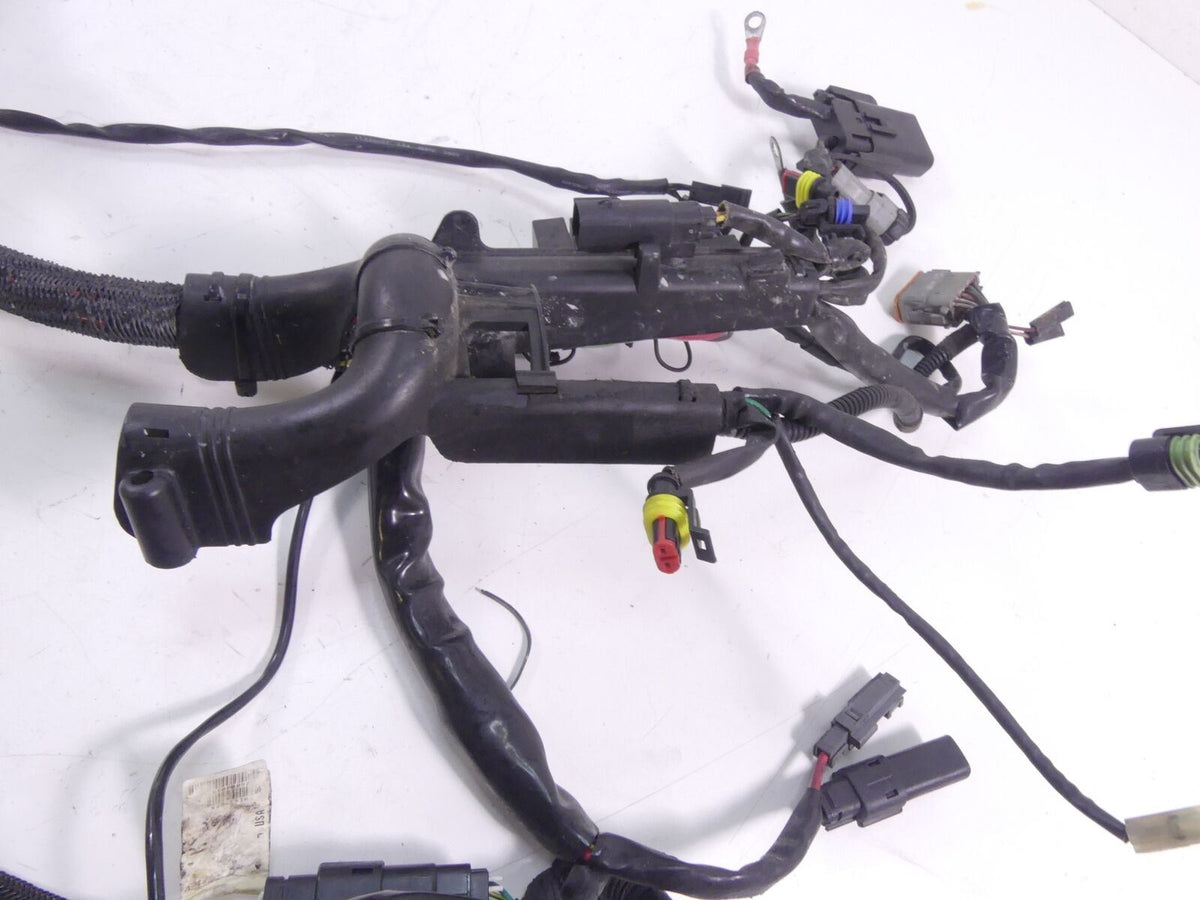 2009 Harley Sportster XR1200 Main & Engine Wiring Harness -Read 70225-08 70163-0 {{ shop.shopifyCountryName }} - Mototech271