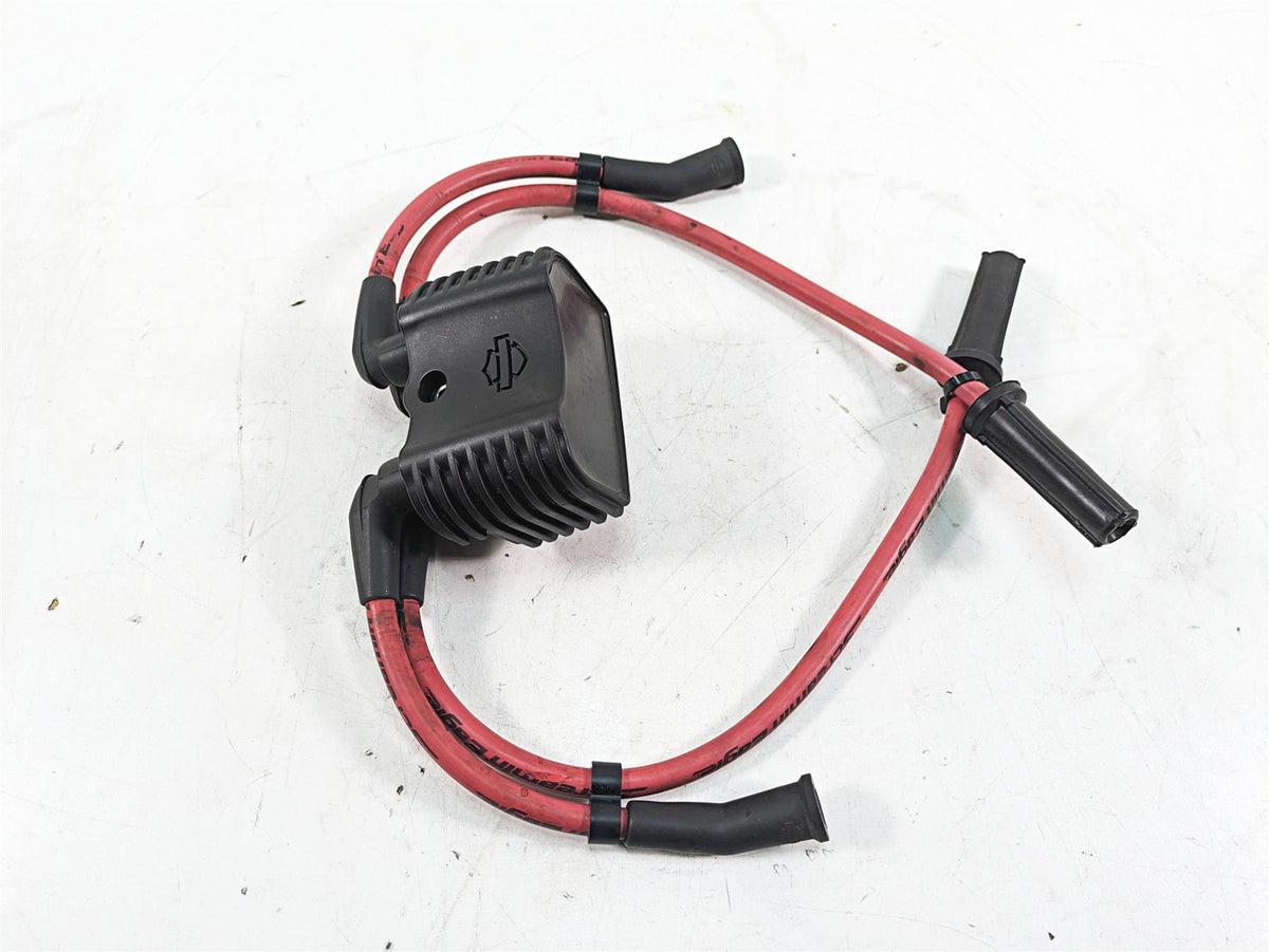 2020 Harley Softail FXBB Street Bob Ignition Coil Wires Plugs 31600067 {{ shop.shopifyCountryName }} - Mototech271