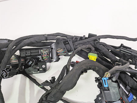 2020 Harley Softail FXST Standard Main Wiring Harness Non Abs - No Cut 69201493 {{ shop.shopifyCountryName }} - Mototech271
