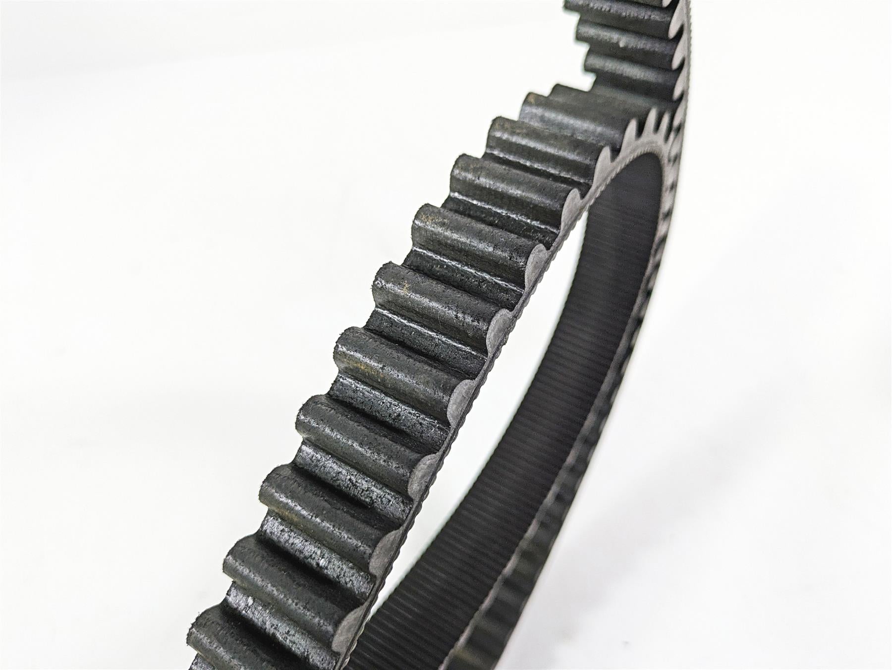 2017 Harley Dyna FXDB Street Bob Rear Drive Belt 131T 1" 40046-07 {{ shop.shopifyCountryName }} - Mototech271