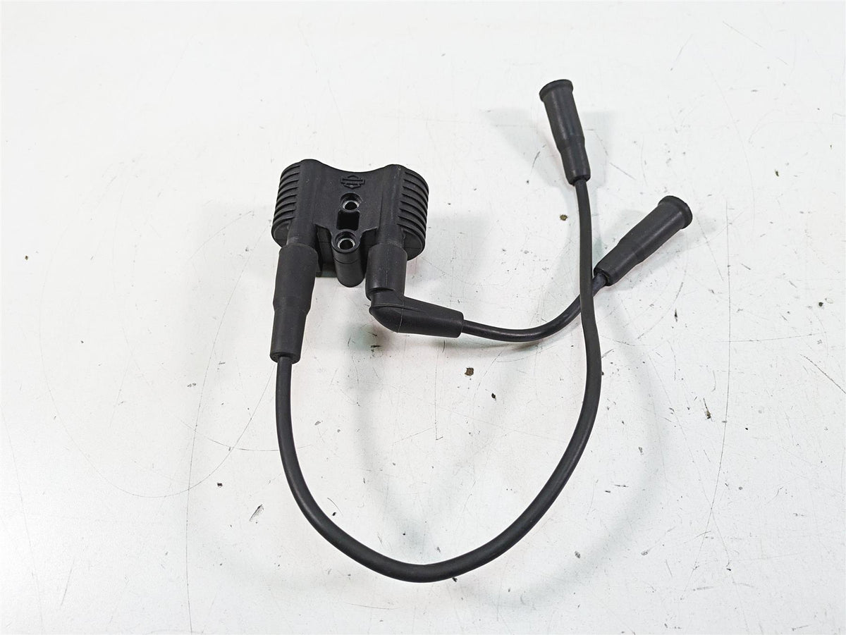 2019 Harley XL883N Sportster Iron Ignition Coil Wires & Plugs 31656-07 {{ shop.shopifyCountryName }} - Mototech271