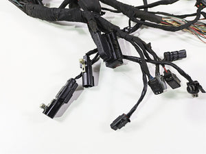 2019 Harley Softail FXDR 114 Wiring Harness Loom READ 69201492 | Mototech271