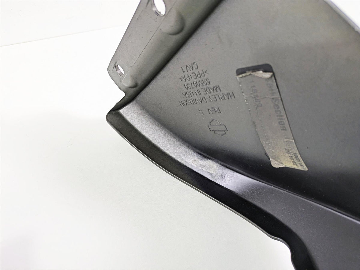 2019 Harley Softail FXDR 114 Rear Subframe Cover Fender Taillight Set 59500730 {{ shop.shopifyCountryName }} - Mototech271