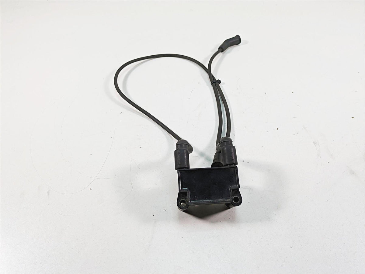 2011 Harley Touring FLTRU Road Glide Delphi Ignition Coil Wires Plugs 31696-07A {{ shop.shopifyCountryName }} - Mototech271