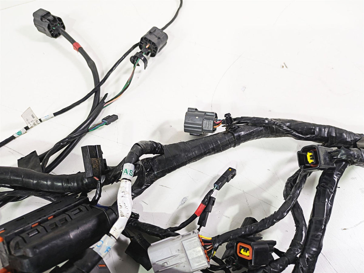 2015 Triumph Tiger Explorer XC Wiring Harness Loom - No Cuts T2501095 {{ shop.shopifyCountryName }} - Mototech271