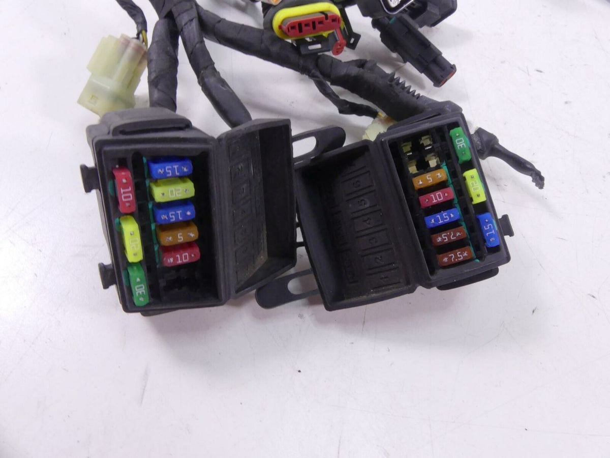 2015 Ducati Diavel Dark Main Wiring Harness Cable Loom - No Cuts 51019541D {{ shop.shopifyCountryName }} - Mototech271