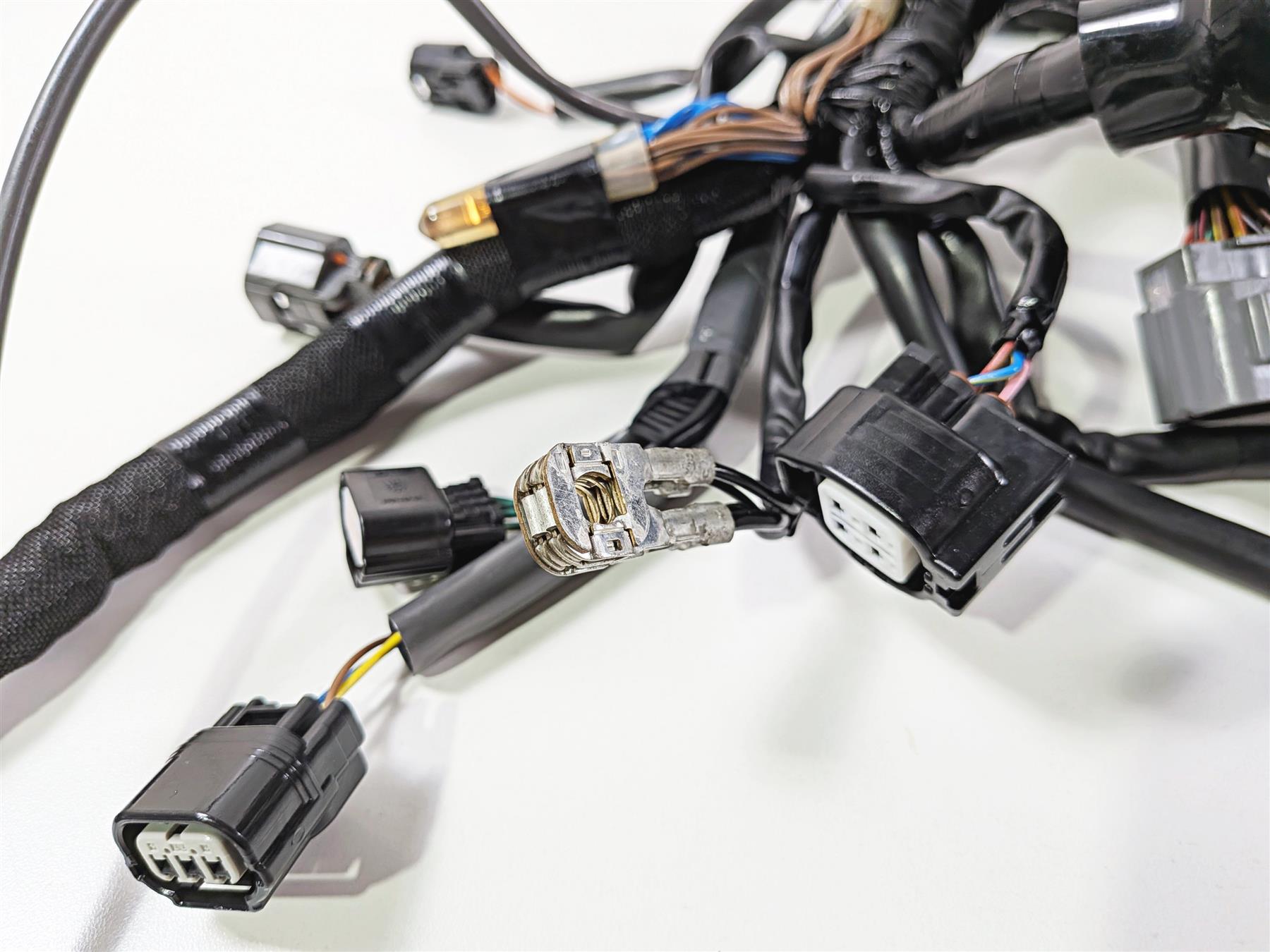 2024 Kawasaki EX500 Ninja 40th An. Wiring Harness Loom -No Cuts 26031-4300 {{ shop.shopifyCountryName }} - Mototech271