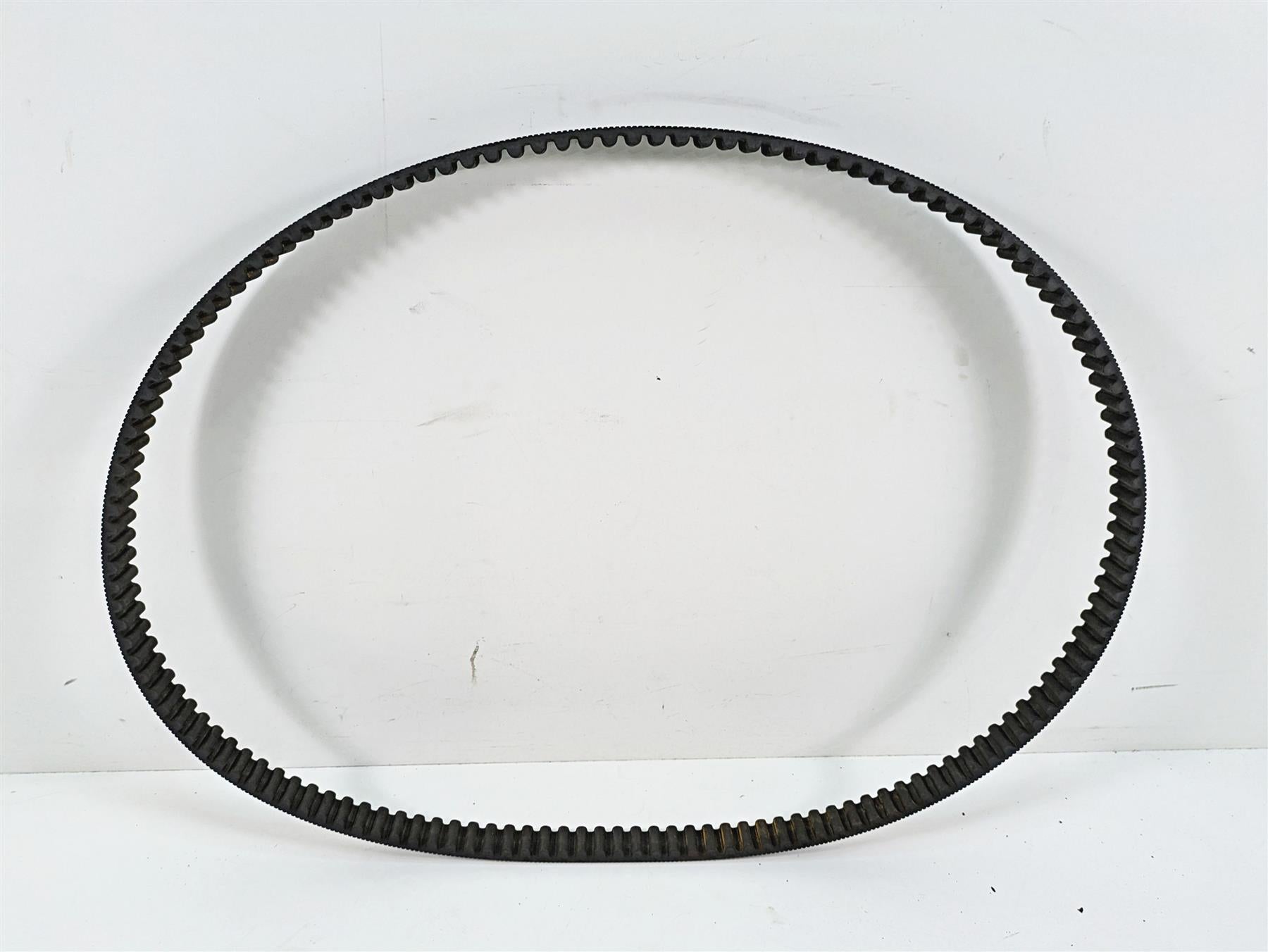 2006 Harley Sportster XL1200 Rear Drive Belt 1-1/8" 137T 40571-04B {{ shop.shopifyCountryName }} - Mototech271