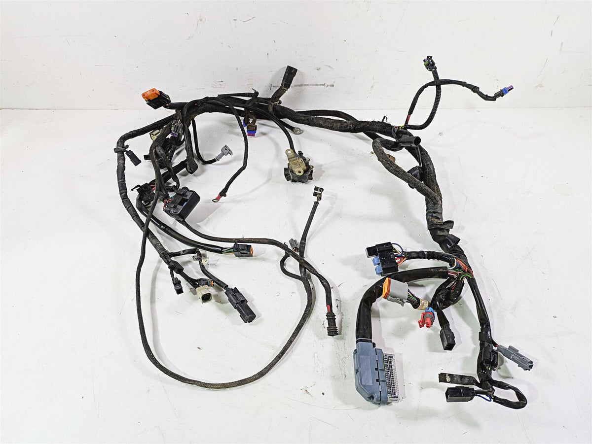 2013 Harley VRSCF Muscle Rod Main Wiring Harness Loom - Non Abs 69200094 {{ shop.shopifyCountryName }} - Mototech271