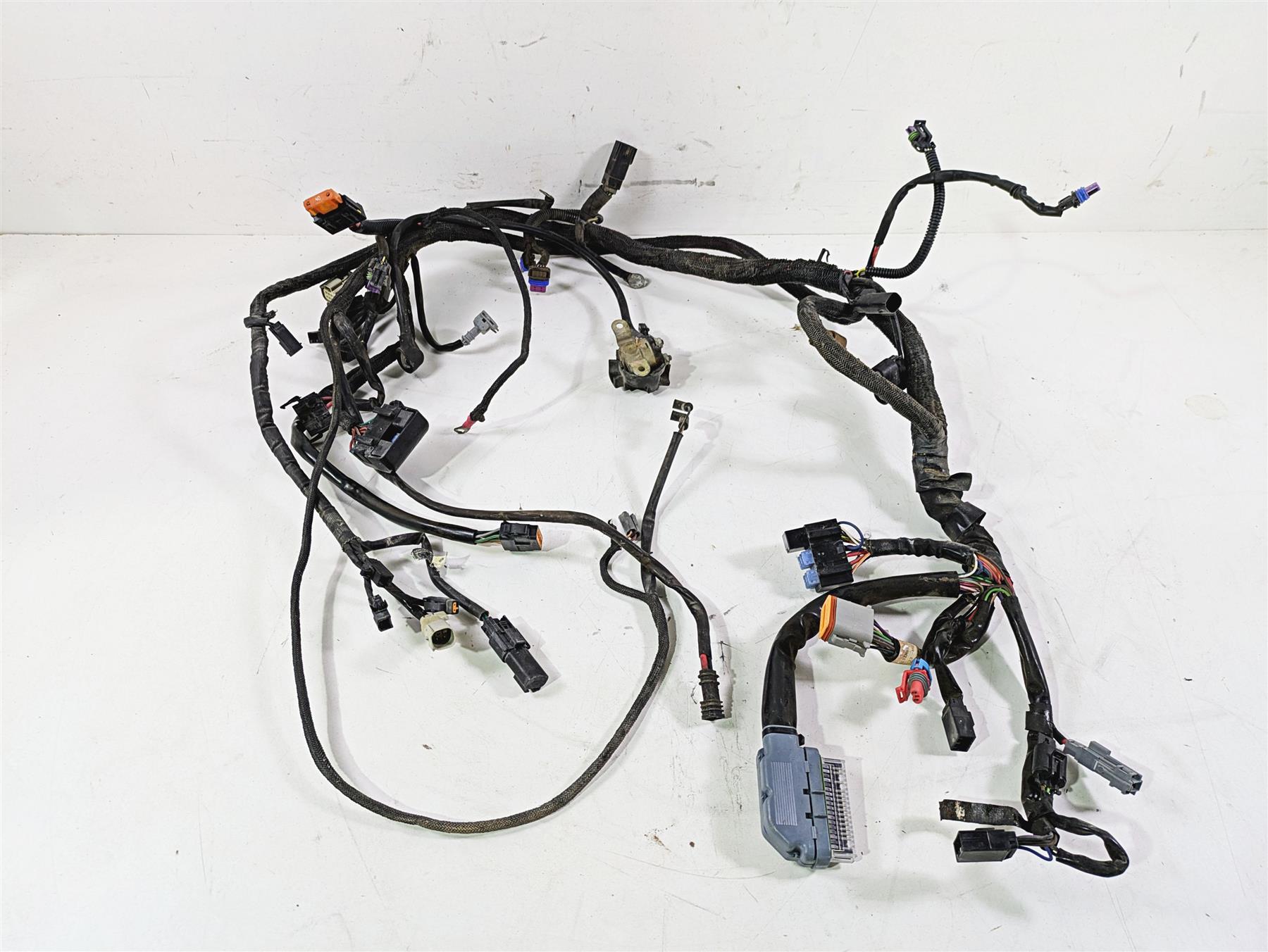 2013 Harley VRSCF Muscle Rod Main Wiring Harness Loom - Non Abs 69200094 {{ shop.shopifyCountryName }} - Mototech271