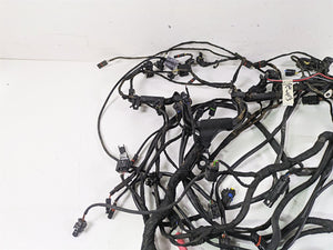 2015 BMW R1200 GS Adv K51 Main & Engine Wiring Harness Esa Heat Read 61118549371