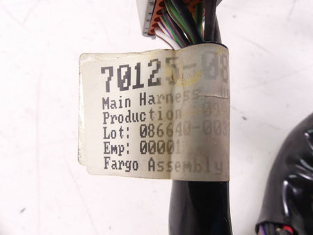 2009 Harley VRSCAW V-Rod Engine & Main Wiring Harness Loom Cable 70125-08A {{ shop.shopifyCountryName }} - Mototech271