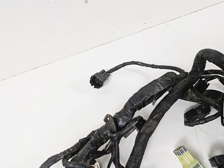 2020 KTM 1290 Super Adventure R Main & Engine Wiring Harness 60711175033 {{ shop.shopifyCountryName }} - Mototech271