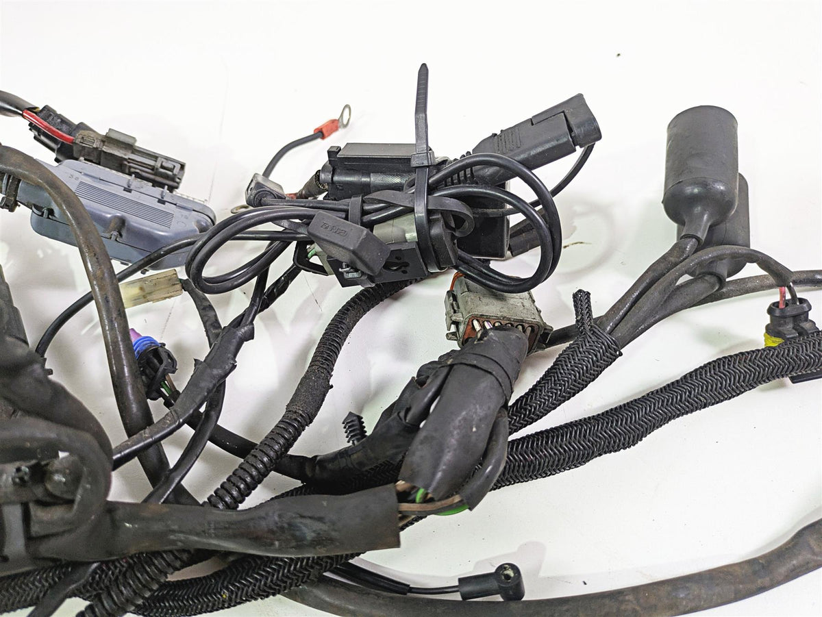 2009 Harley XR1200 Sportster Main & Engine Wiring Harness - Read 70225-08 {{ shop.shopifyCountryName }} - Mototech271