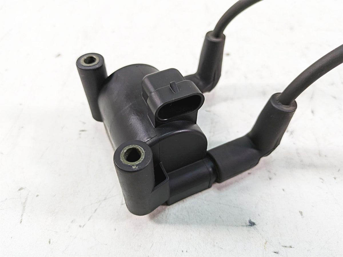 2013 Harley Touring FLHX Street Glide Delphi Ignition Coil Wires Plug 31696-07A {{ shop.shopifyCountryName }} - Mototech271