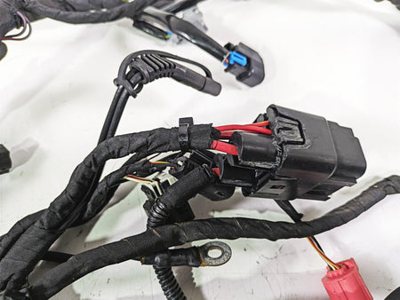 2021 Harley Softail FLSL Slim Complete Wiring Harness Non Abs -Read 69202198 {{ shop.shopifyCountryName }} - Mototech271