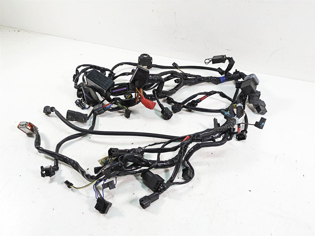 2011 Triumph America Main Wiring Harness Loom - No Cuts T2507611 {{ shop.shopifyCountryName }} - Mototech271