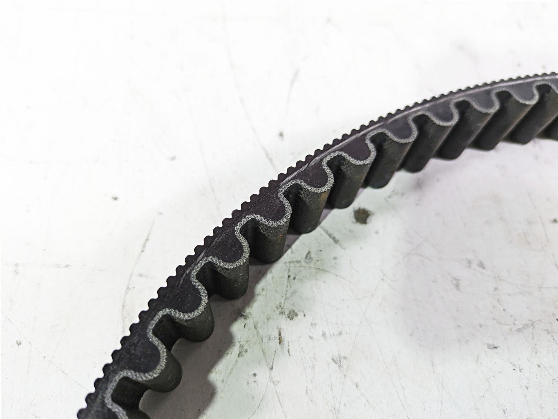 2019 Harley FLHCS Softail Heritage Rear Main Drive Belt 134T 40000018 {{ shop.shopifyCountryName }} - Mototech271