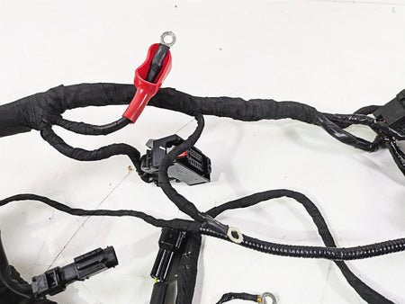 2023 BMW G310R K03 Wiring Harness Loom - No Cuts 61111541006 {{ shop.shopifyCountryName }} - Mototech271