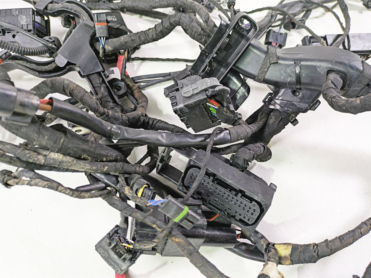 2017 BMW R1200 GS K50 Main & Engine Wiring Harness Abs Esa - Read 61118350519 {{ shop.shopifyCountryName }} - Mototech271