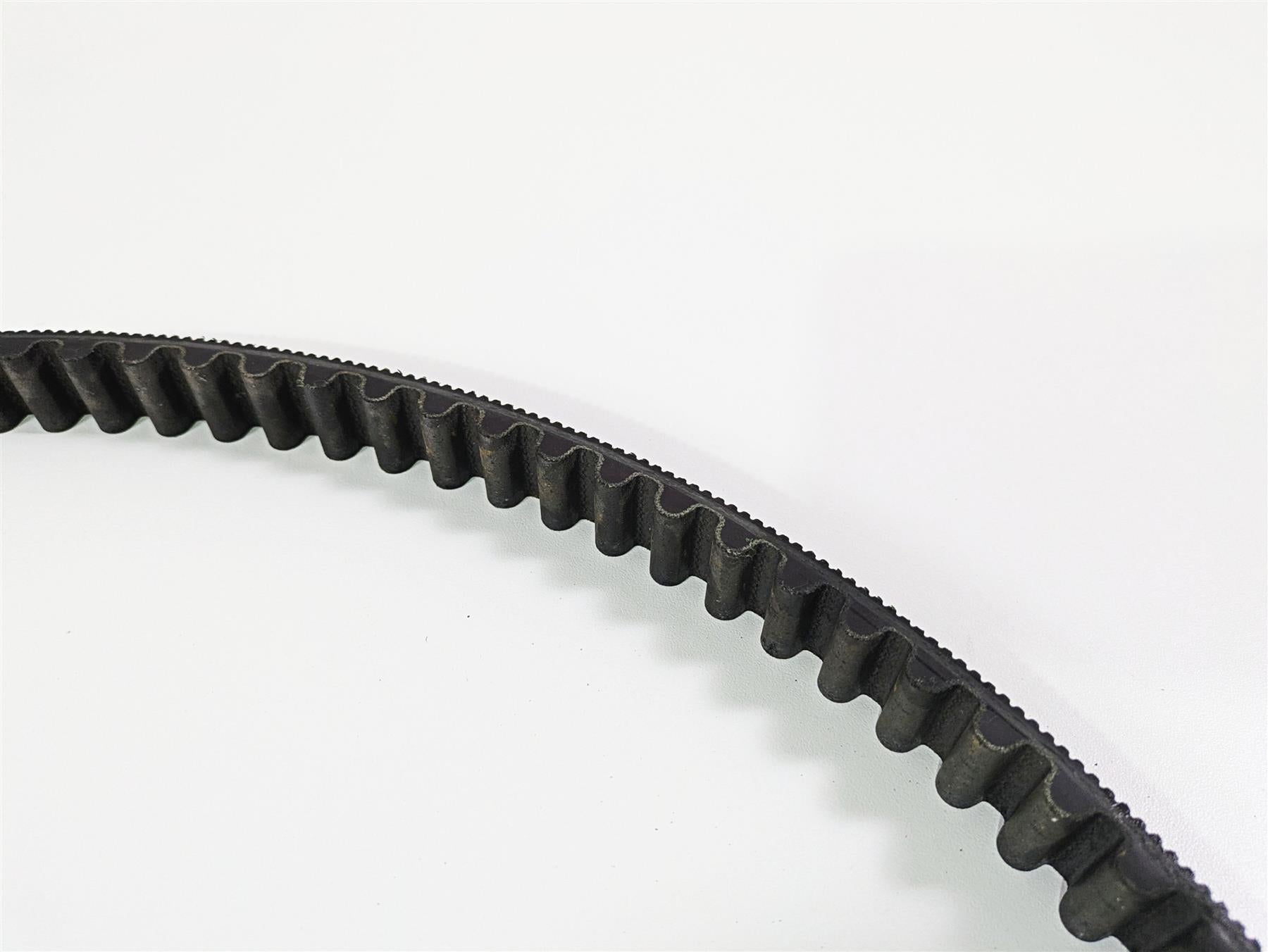 2019 Harley Softail FXDR 114 Rear Drive Belt 134T 24mm 40000018 {{ shop.shopifyCountryName }} - Mototech271