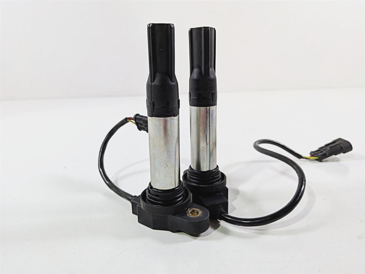 2016 Aprilia RSV 1100 Tuono V4 Factory 2 Eldor Ignition Coils 857084 857501 {{ shop.shopifyCountryName }} - Mototech271