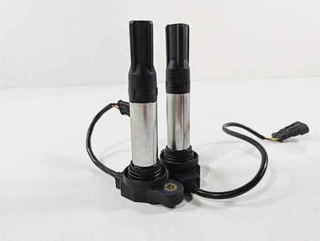 2016 Aprilia RSV 1100 Tuono V4 Factory 2 Eldor Ignition Coils 857084 857501 {{ shop.shopifyCountryName }} - Mototech271