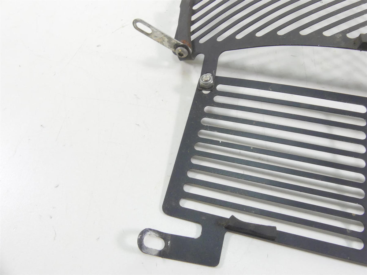 2016 BMW S1000XR K49 Aftermarket Radiator Guard Grill Cover {{ shop.shopifyCountryName }} - Mototech271