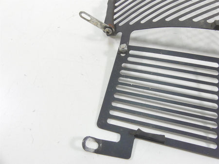 2016 BMW S1000XR K49 Aftermarket Radiator Guard Grill Cover {{ shop.shopifyCountryName }} - Mototech271