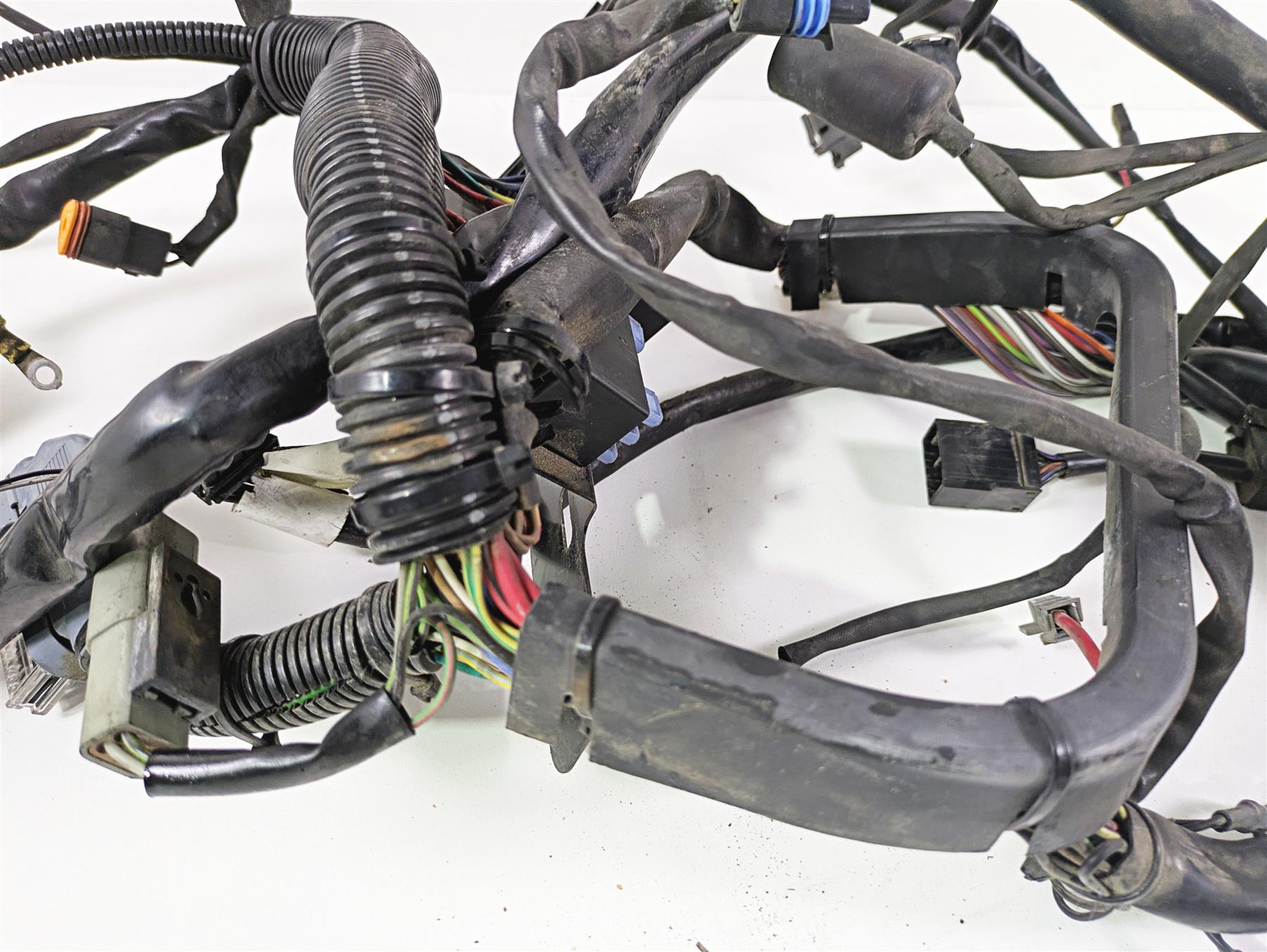2004 Harley Softail FXSTDI Deuce Wiring Harness Loom EFI - Read 70431-04 {{ shop.shopifyCountryName }} - Mototech271
