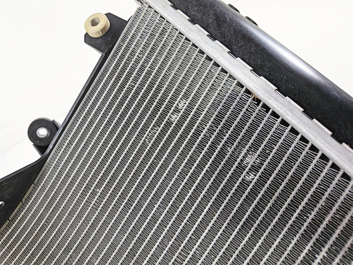 2020 BMW S1000RR K67 Coolant Radiator Fan & Reservoir - No Leaks 17118356804-Mototech271