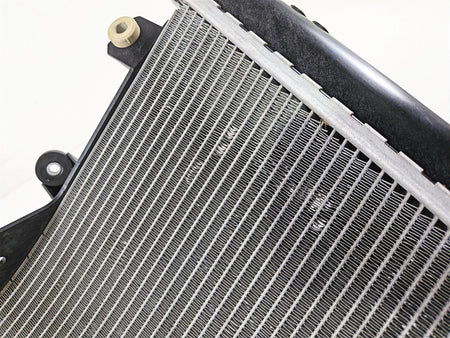 2020 BMW S1000RR K67 Coolant Radiator Fan & Reservoir - No Leaks 17118356804-Mototech271