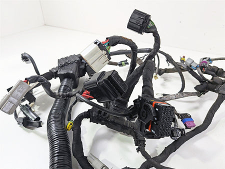 2014 Harley FXDL Dyna Low Rider Main Wiring Harness Loom Non Abs - Read 69200455 {{ shop.shopifyCountryName }} - Mototech271