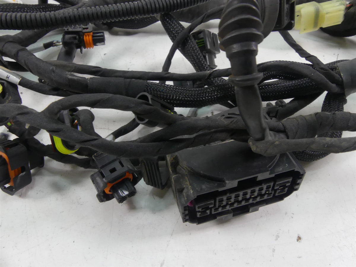 2020 Ducati Multistrada 1260 Enduro Main Wiring Harness Loom Abs 5101D331F {{ shop.shopifyCountryName }} - Mototech271
