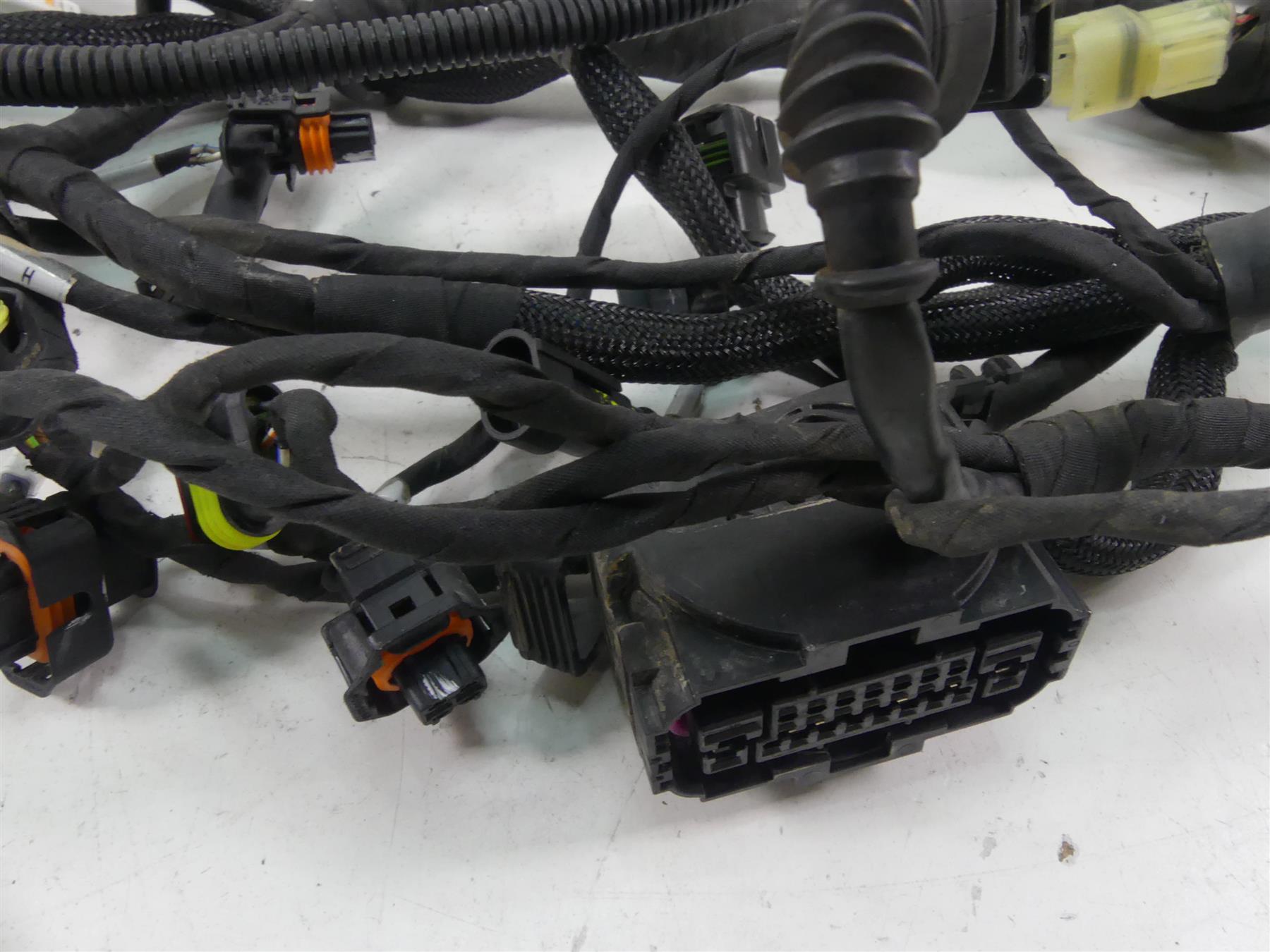 2020 Ducati Multistrada 1260 Enduro Main Wiring Harness Loom Abs 5101D331F {{ shop.shopifyCountryName }} - Mototech271