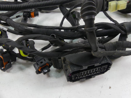 2020 Ducati Multistrada 1260 Enduro Main Wiring Harness Loom Abs 5101D331F {{ shop.shopifyCountryName }} - Mototech271