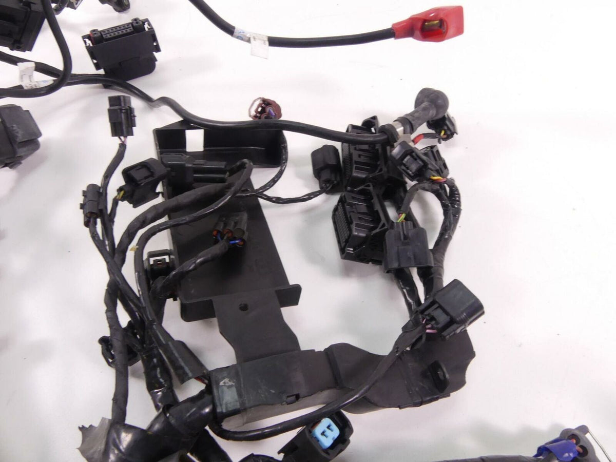 2017 Triumph Daytona 675R Main Wiring Harness Loom -No Cuts Abs T2508087 {{ shop.shopifyCountryName }} - Mototech271