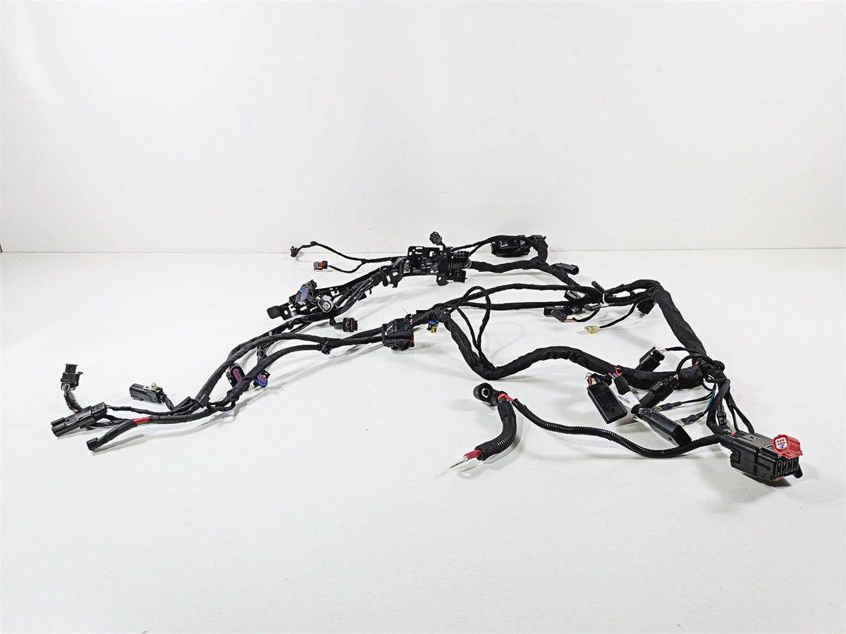 2024 Harley Softail FXLRST Low Rider Main Wiring Harness 117 - No Cuts 69202197 {{ shop.shopifyCountryName }} - Mototech271