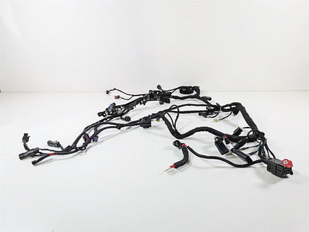 2024 Harley Softail FXLRST Low Rider Main Wiring Harness 117 - No Cuts 69202197 {{ shop.shopifyCountryName }} - Mototech271