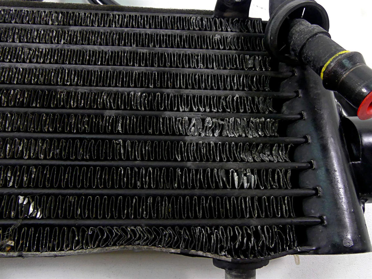 2014 Harley VRSCF Muscle V-Rod Oil Cooler Radiator & Lines 62700054 {{ shop.shopifyCountryName }} - Mototech271