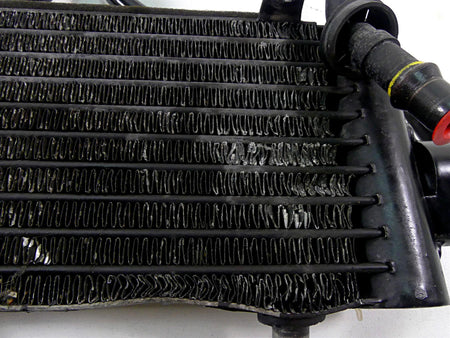 2014 Harley VRSCF Muscle V-Rod Oil Cooler Radiator & Lines 62700054 {{ shop.shopifyCountryName }} - Mototech271