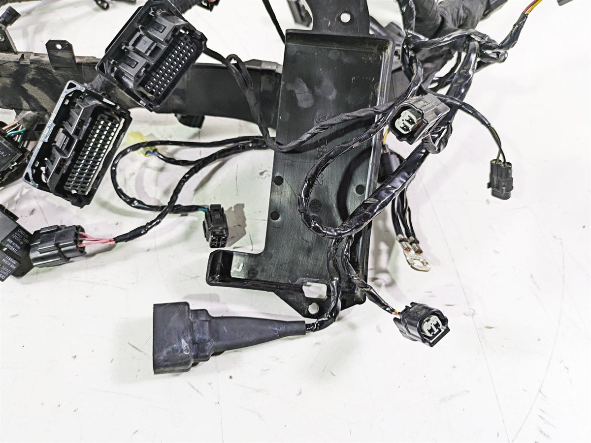 2020 Triumph Daytona 765 Moto2 Wiring Harness Loom - No Cuts T2505041 {{ shop.shopifyCountryName }} - Mototech271