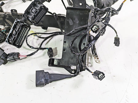 2020 Triumph Daytona 765 Moto2 Wiring Harness Loom - No Cuts T2505041 {{ shop.shopifyCountryName }} - Mototech271