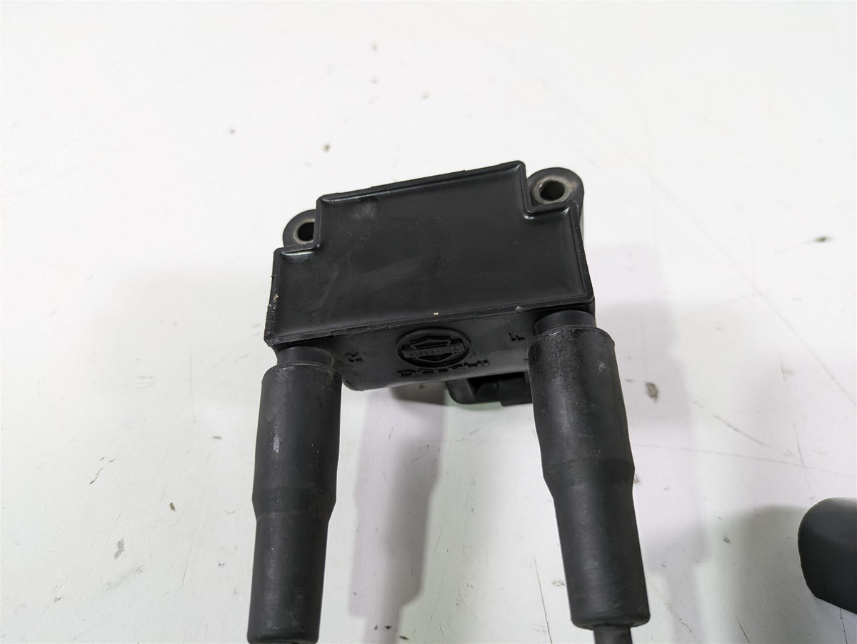 2015 Harley FXDL Dyna Low Rider Delphi Ignition Coil Wires Plugs 31696-07A {{ shop.shopifyCountryName }} - Mototech271