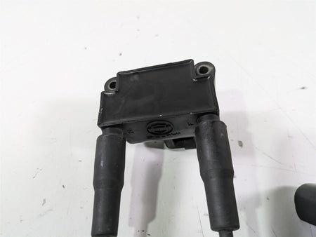 2015 Harley FXDL Dyna Low Rider Delphi Ignition Coil Wires Plugs 31696-07A {{ shop.shopifyCountryName }} - Mototech271