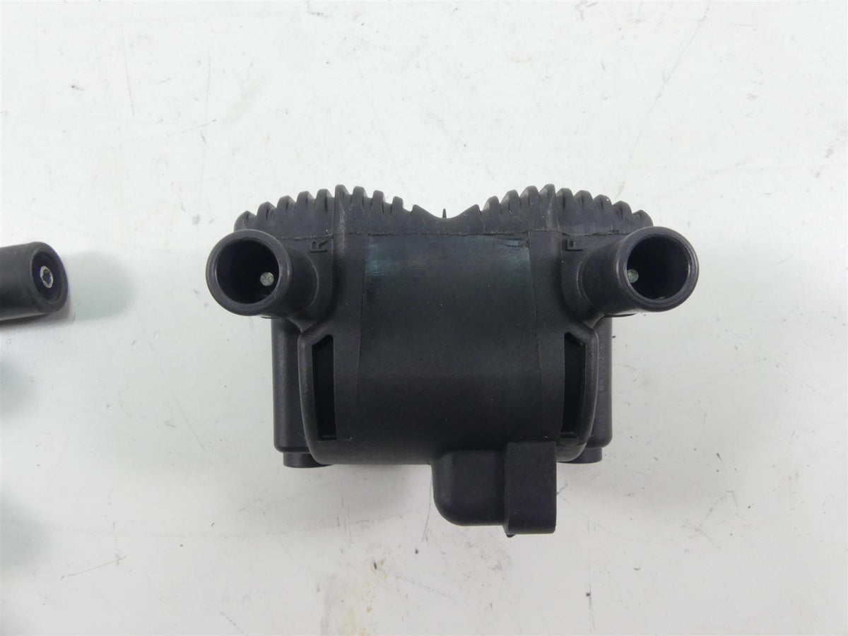 2010 Harley FXDWG Dyna Wide Glide Delphi Ignition Coil Wires & Plugs 31743-01 {{ shop.shopifyCountryName }} - Mototech271
