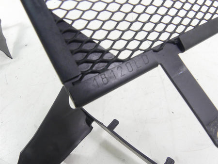2017 BMW R1200GS GSW K50 Cox Racing Radiator Protection Guard Grille 1079556 {{ shop.shopifyCountryName }} - Mototech271