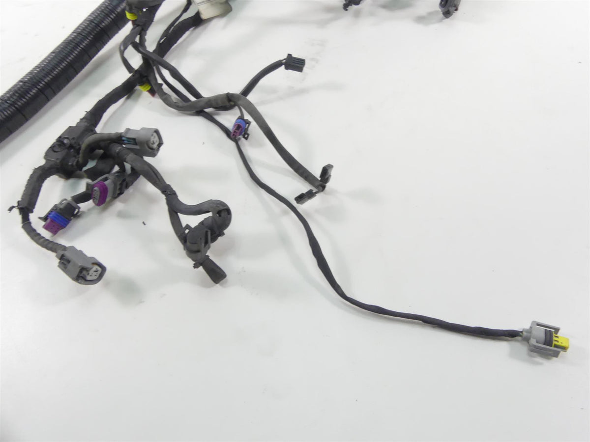 2013 Harley FXDWG Dyna Wide Glide Wiring Harness Loom Non-Abs 69200455 {{ shop.shopifyCountryName }} - Mototech271