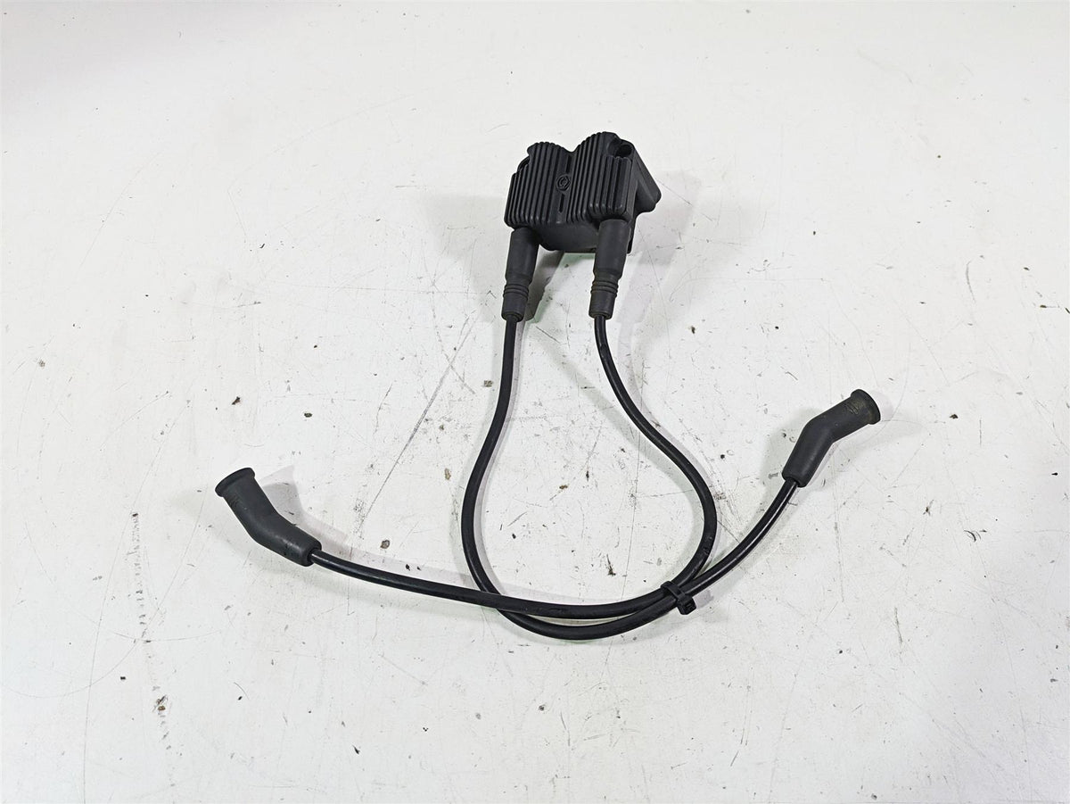 2003 Harley Touring FLHTCUI 100TH E-Glide Ignition Coil Wires Plugs 31743-01 {{ shop.shopifyCountryName }} - Mototech271
